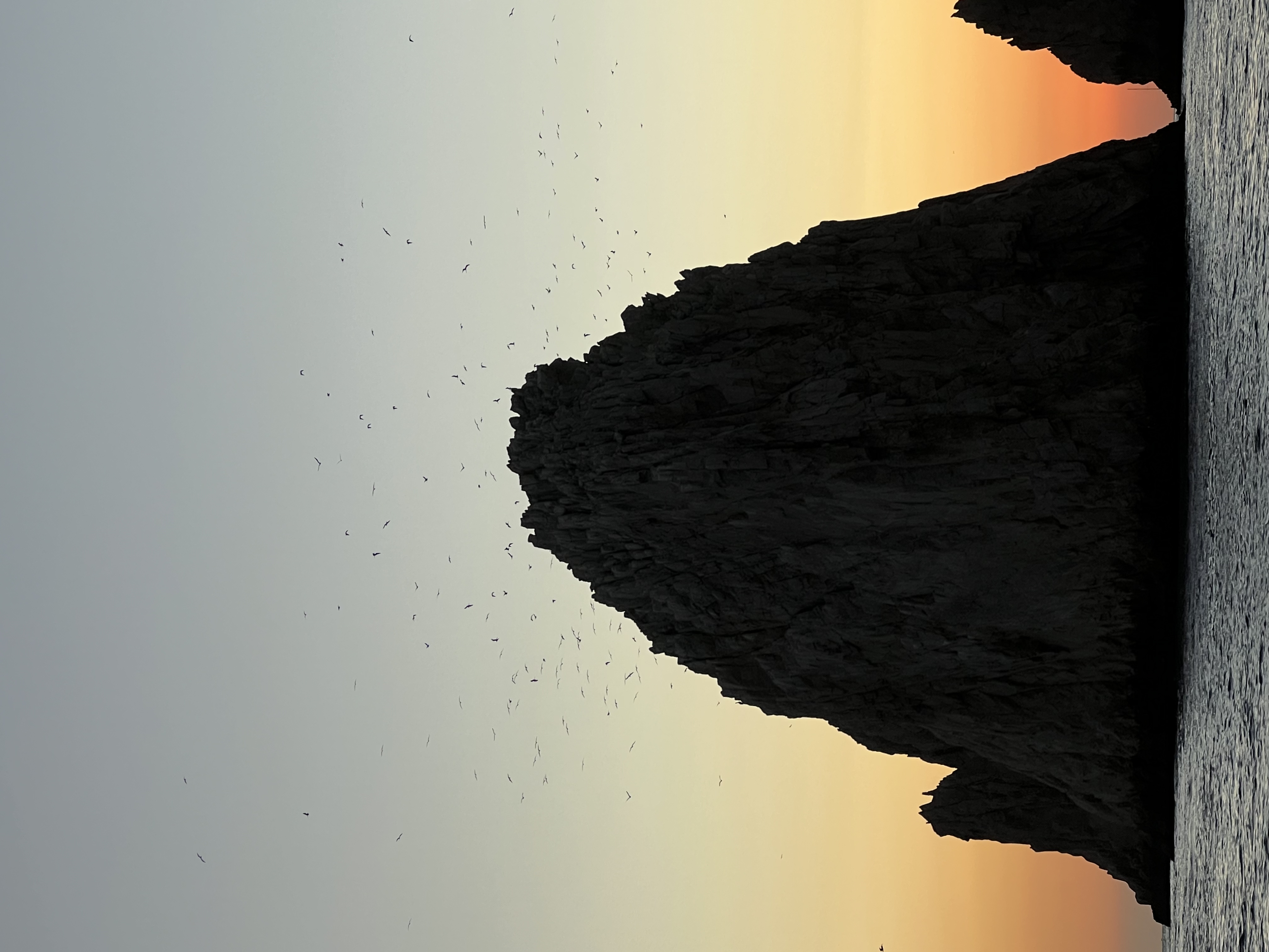 ./2024/13 - Cabo/IMG_4788.jpg